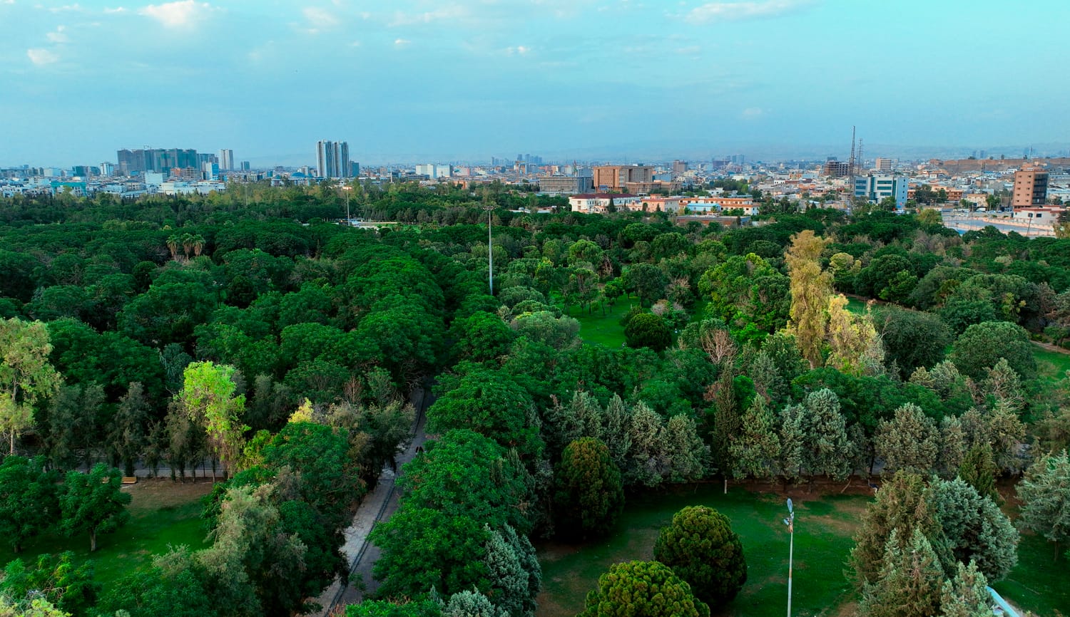 ئەمساڵ لە هەولێر ژمارەی پێوانەیی لە چاندنی دار تۆمارکراوە