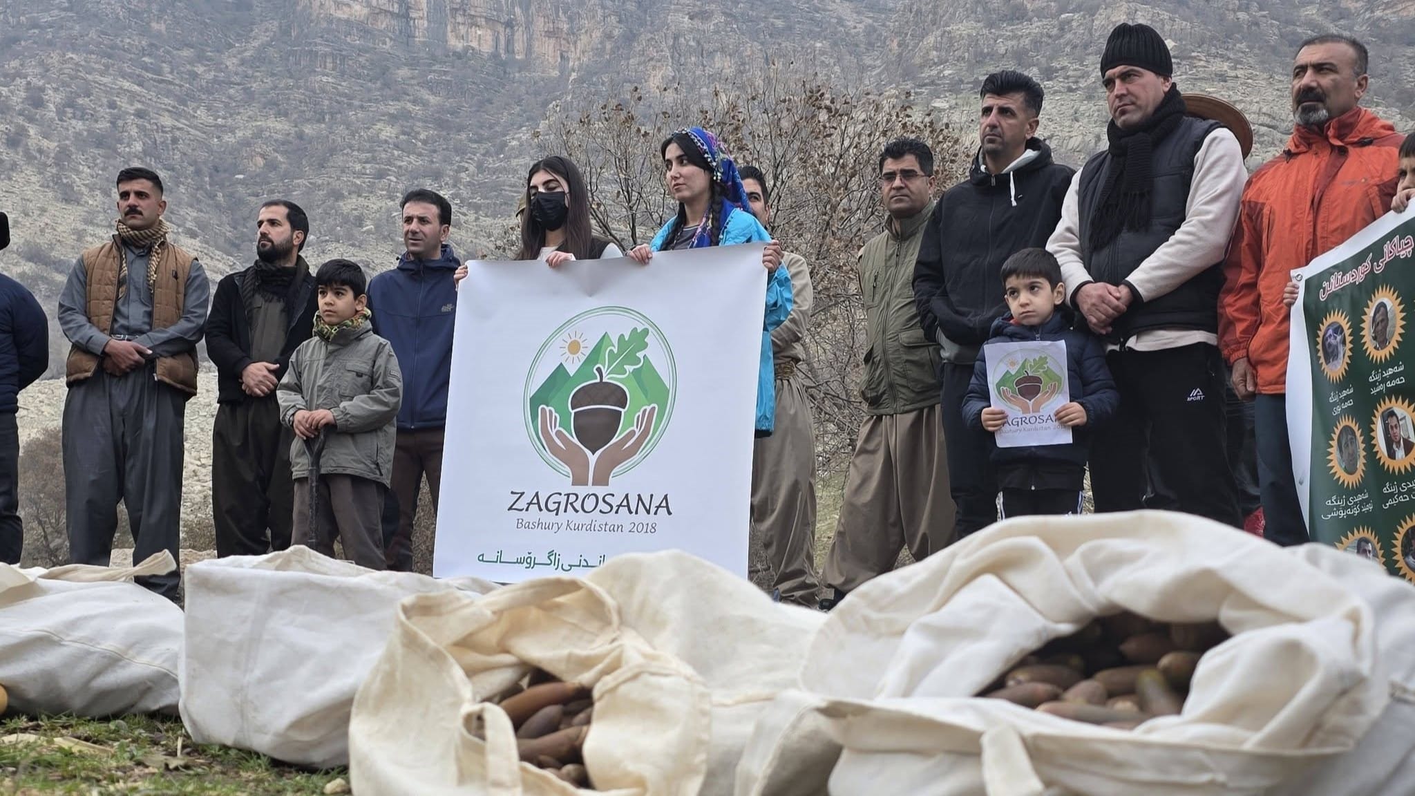 تۆڕی زاگرۆسانە هەزاران بەڕوو لە چیاکانی کوردستان دەڕوێنێت