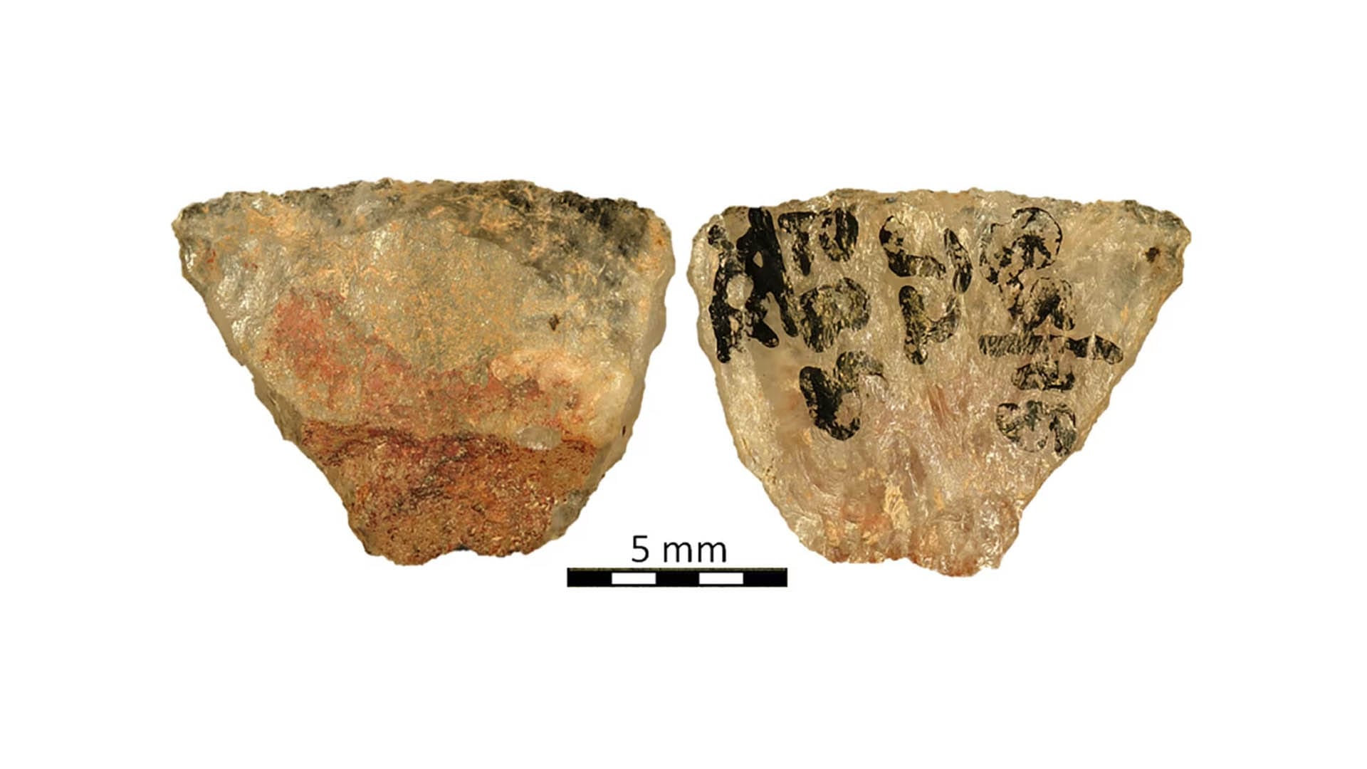 زانایان کۆنترین بەردە ژەهریان دۆزییەوە کە 60 ھەزار ساڵ لەمەوبەر بەکارھاتوون