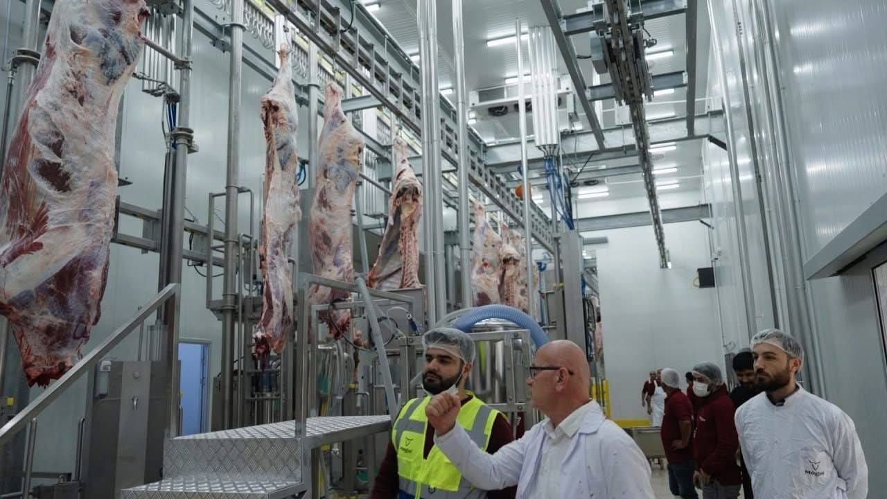 سەربڕخانەی مێگەل بە ڕووی هاووڵاتیان کرایەوە