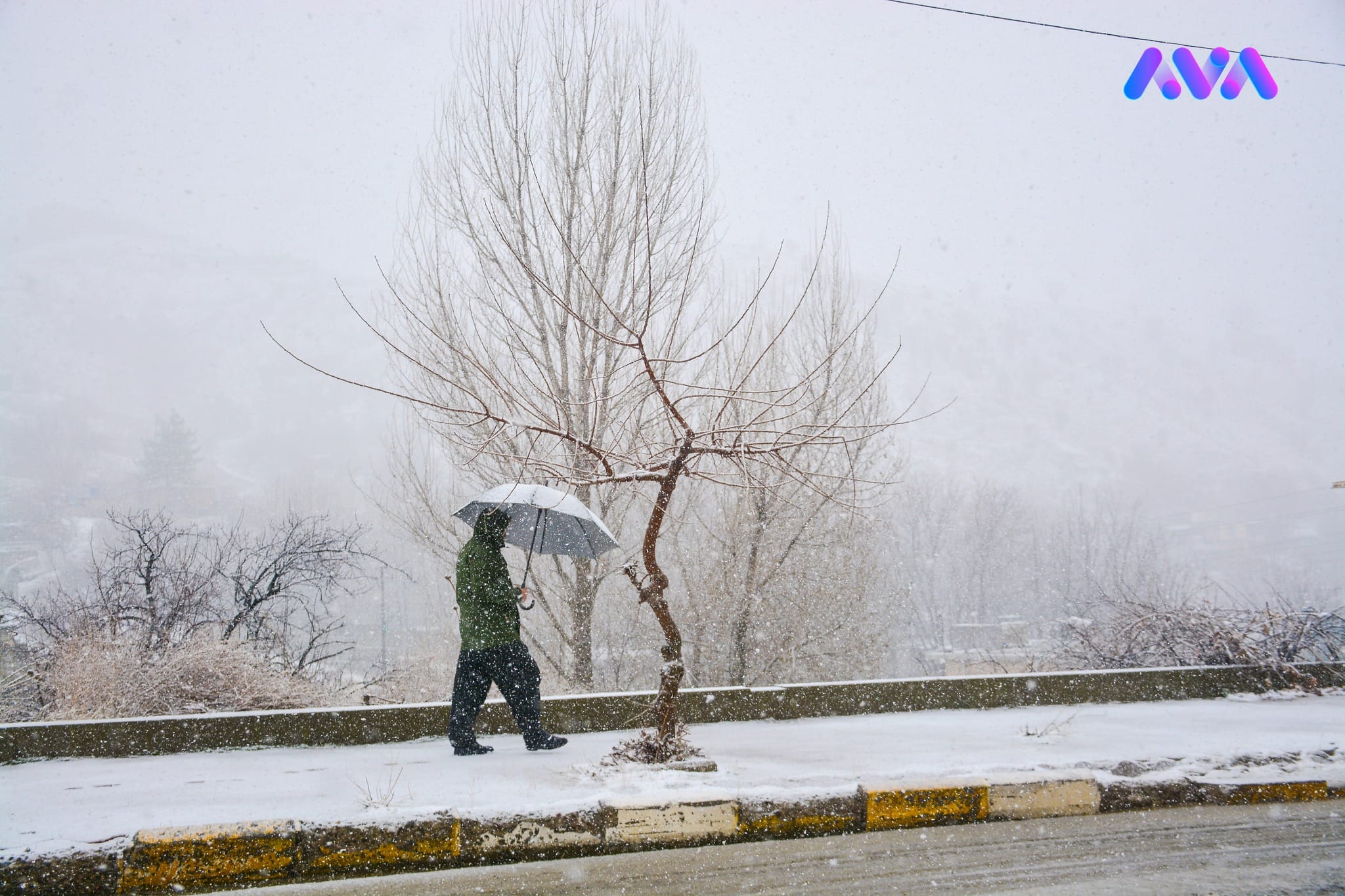 پشووی فەرمی لە چەند ناوەندێکی خوێندن ڕاگەیێنرا