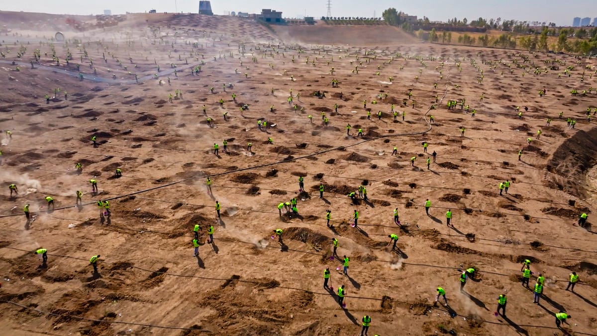 خاوەنی زەوییەکانی پشتێنەی سەوزایی قەرەبوو دەکرێنەوە