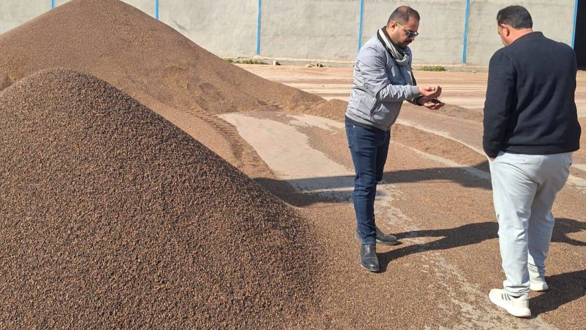 وەزارەتی بازرگانیی عێراق دەستی بەسەر بڕێکی زۆر گەنمی ڕەنگکراودا گرت