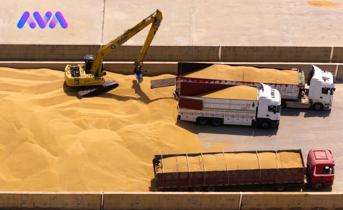حکومەتی عێراق وەرگرتنی گەنمی جووتیارانی هەرێمی کوردستان دوادەخات
