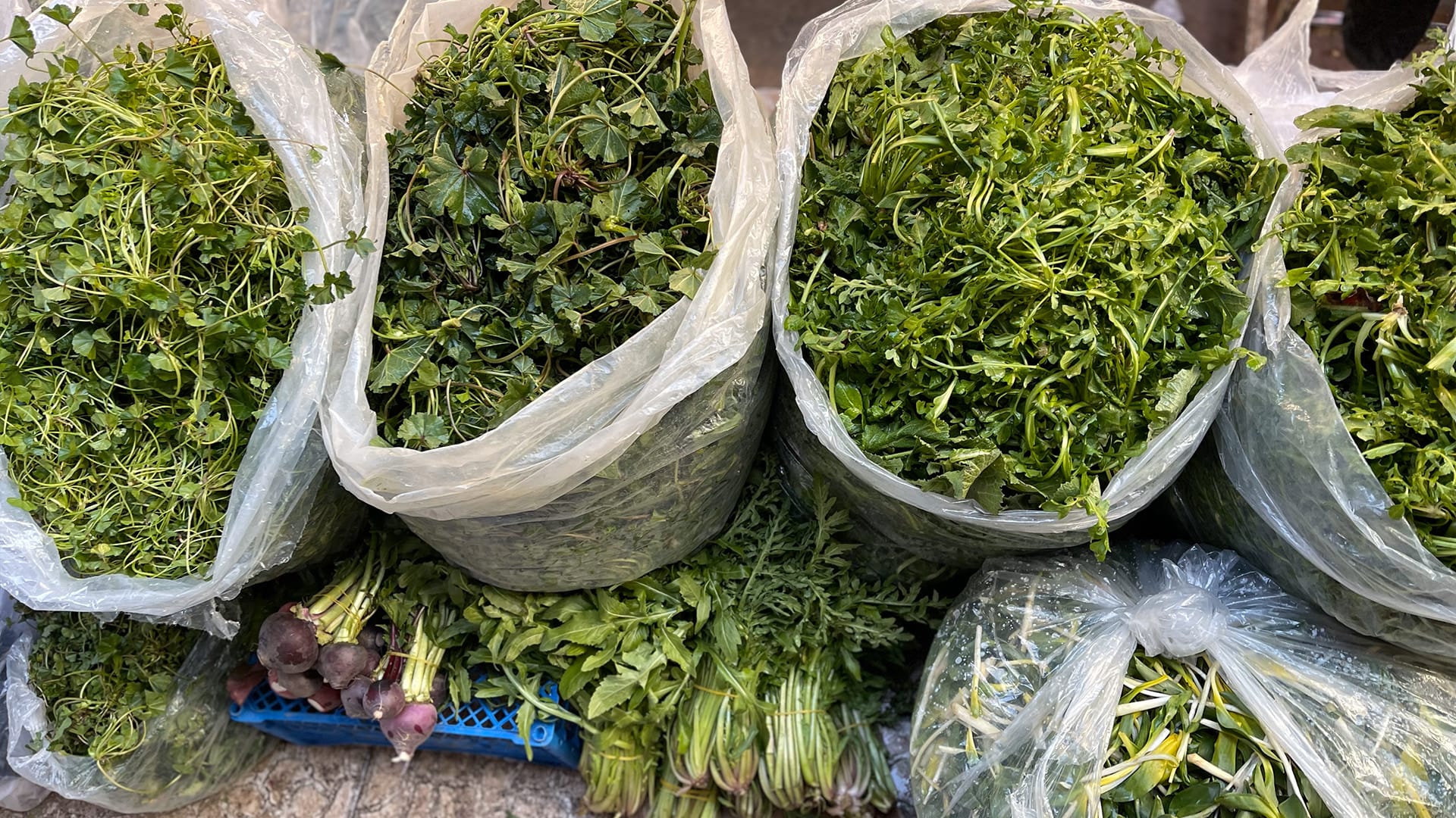 وەرزی پەیدابوونەوەی گیا بەهارییەکان لە هەرێمی کوردستان دەستپێدەکات و چاوەڕوان دەکرێت نرخ هەرزان بێت