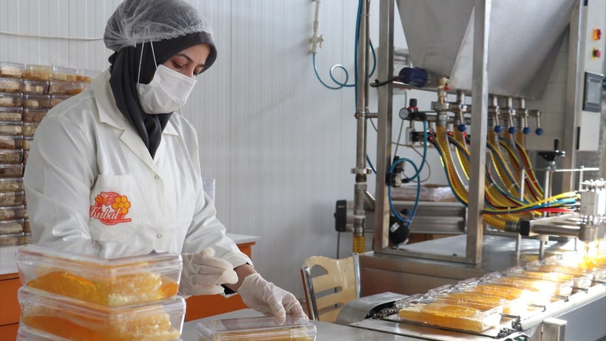 ساڵانە چوار هەزار تۆن هەنگوینی سێواس ڕەوانەی بازاڕەکانی جیهان دەکرێت