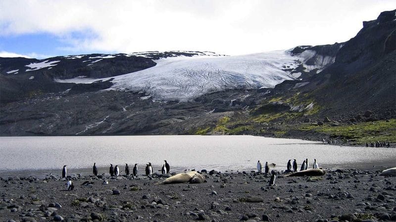 دۆناڵد ترەمپ پێناسی گومرگی بەسەر دوورگەیەکی بێ دانیشتوو دەسەپێنێت