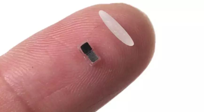 بچووکترین پاتری دڵ لە جیهان دروست کرا