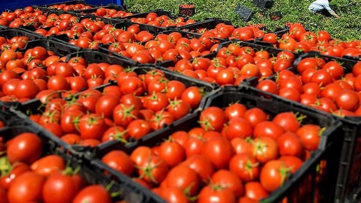 عێراق ڕێگە لەبەردەم هاوردەکردنی چەند بەروبوومێک دەکاتەوە