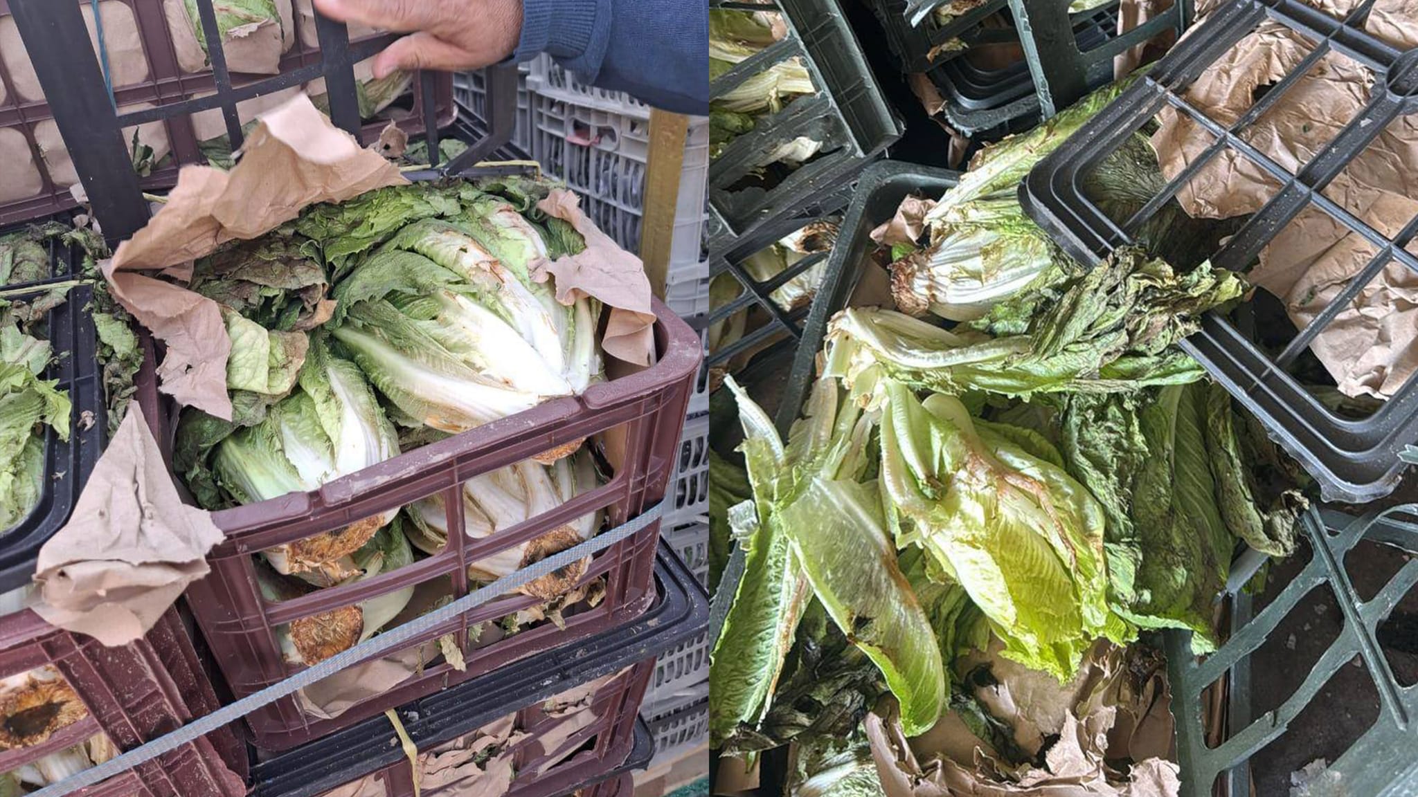 لە عەلوەی هەولێر هەر کەسێک خاسی ئێرانی بفرۆشێت دوو ملیۆن دینار غەرامە دەکرێت