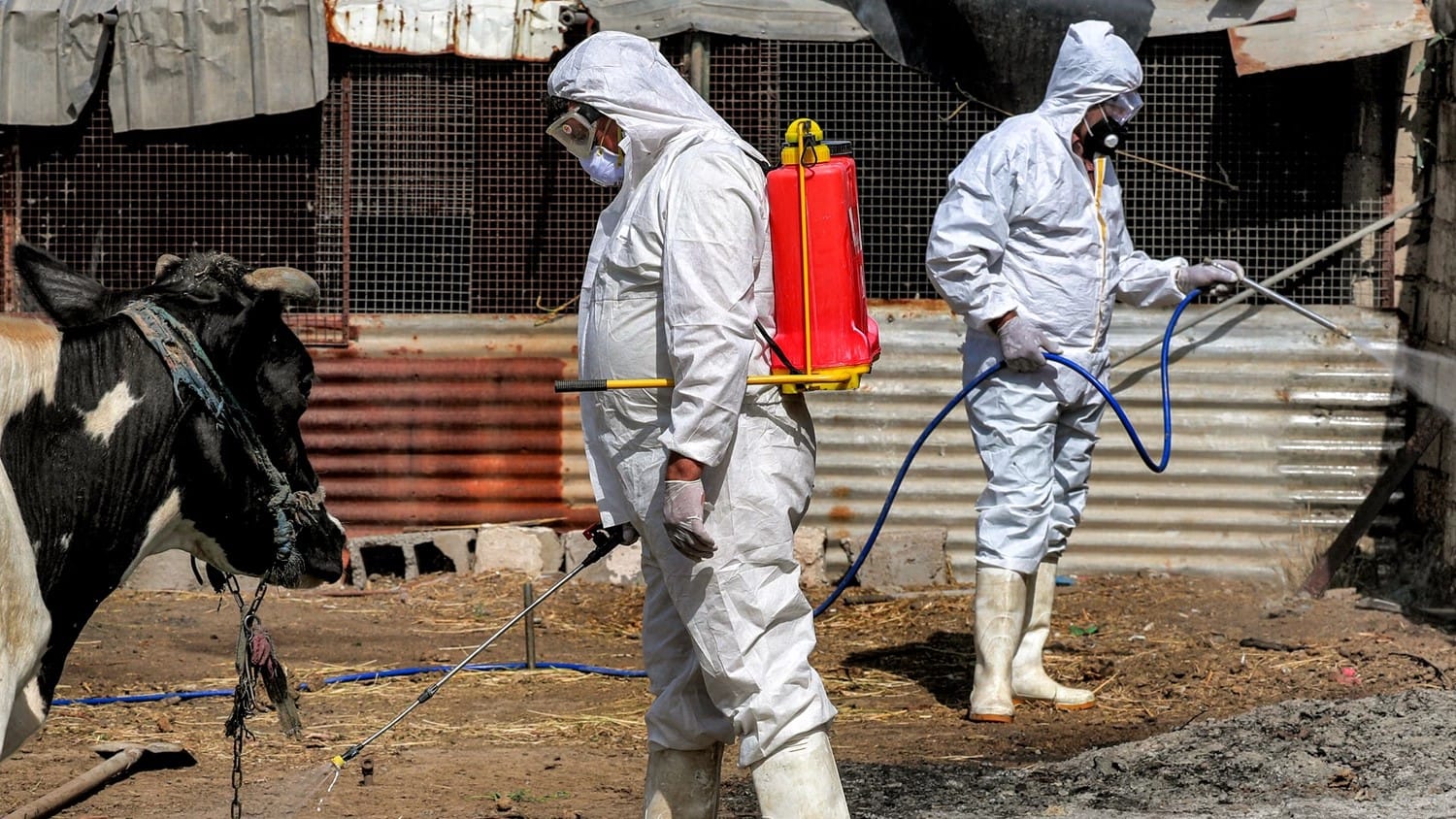 لەبارەی تای خوێنبەربوون لە هەرێمی کوردستان، وەزیری تەندروستی دڵنیایی بە هاووڵاتییان دەدات