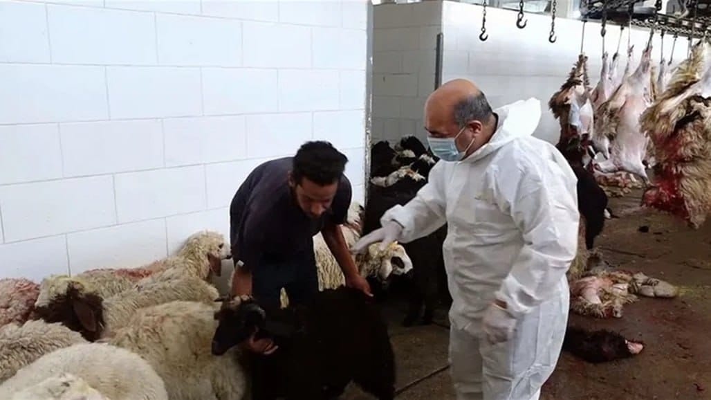 وەزارەتی تەندروستیی عێراق: پێنج تووشبووی نوێی تای خوێنبەربوون تۆمار کران