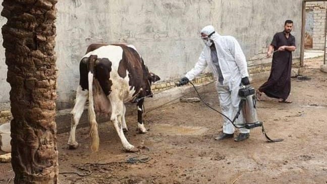 عێراق بۆ ڕێگریکردن لە بڵاوبوونەوەی تای خوێنبەربوون ڕێنمایی نوێ دەردەکات