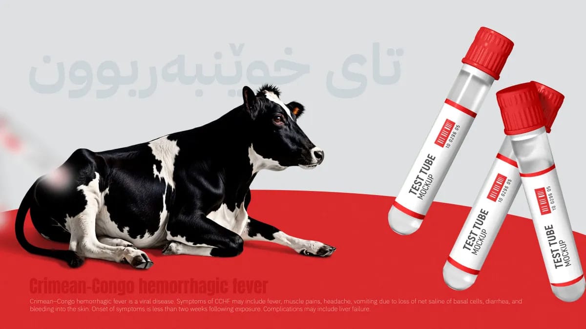 زانیاریی نوێ سەبارەت بەو هاونیشتمانییەی تووشی تای خوێنبەربوون بووە ئاشکرا دەکرێت