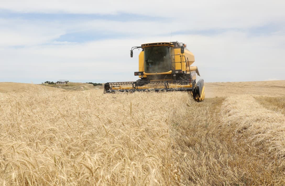 بازرگانی عێراق: ئەمساڵ زیاتر لە پێنج ملیۆن تۆن گەنم وەردەگرین