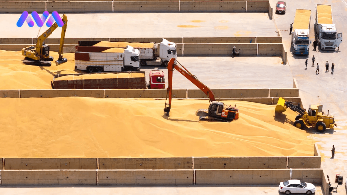 عێراق 50 هەزار تۆن گەنم بە دیاریی دەداتە توونس