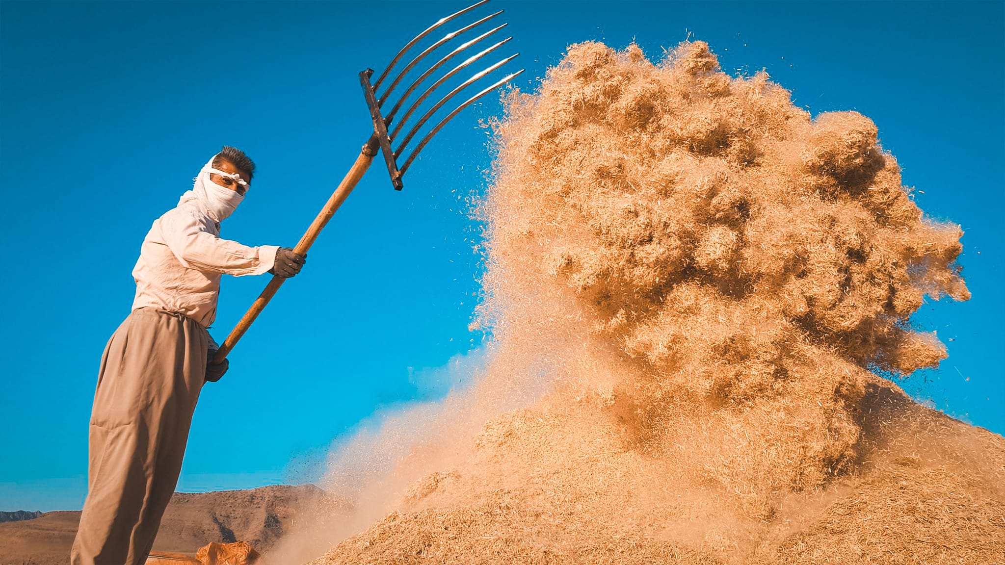 عێراق ڕێگریی لە هەناردەكردنی بەرهەمی كارگەكانی ئالیكی هەرێمی كوردستان دەكات