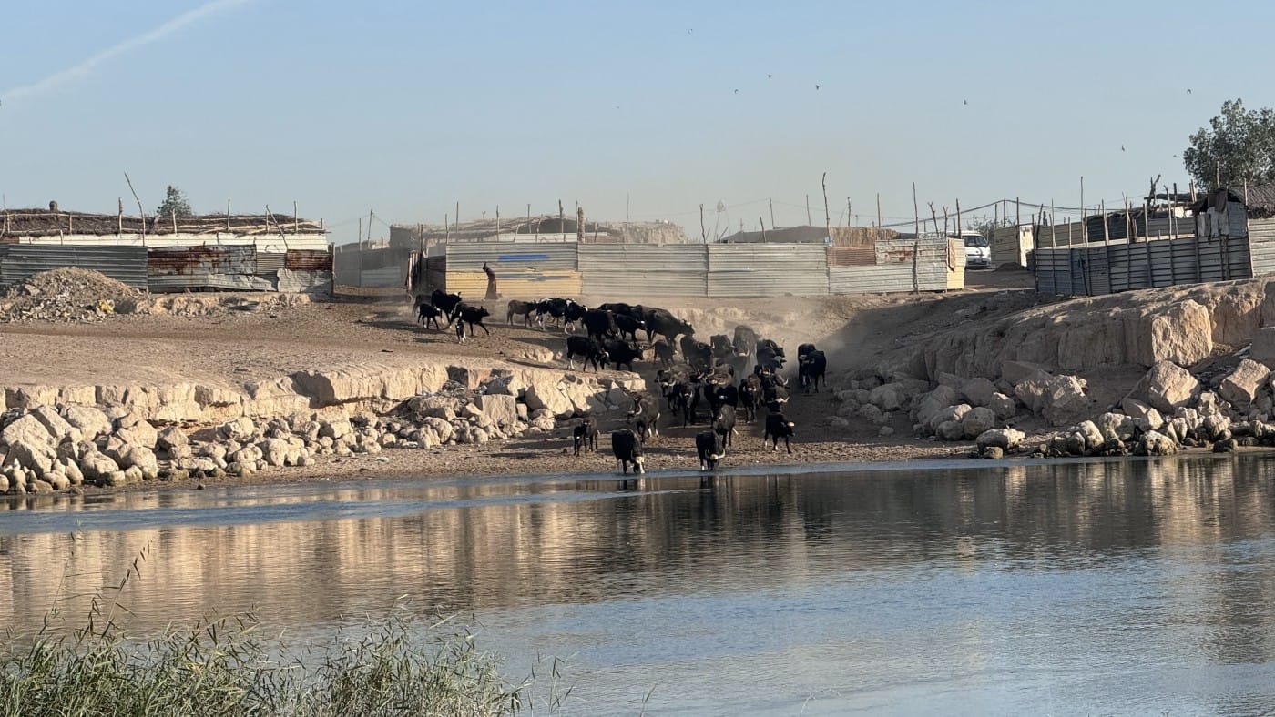 لە نەجەف کارەساتێکی ژینگەیی بەڕێوەیە