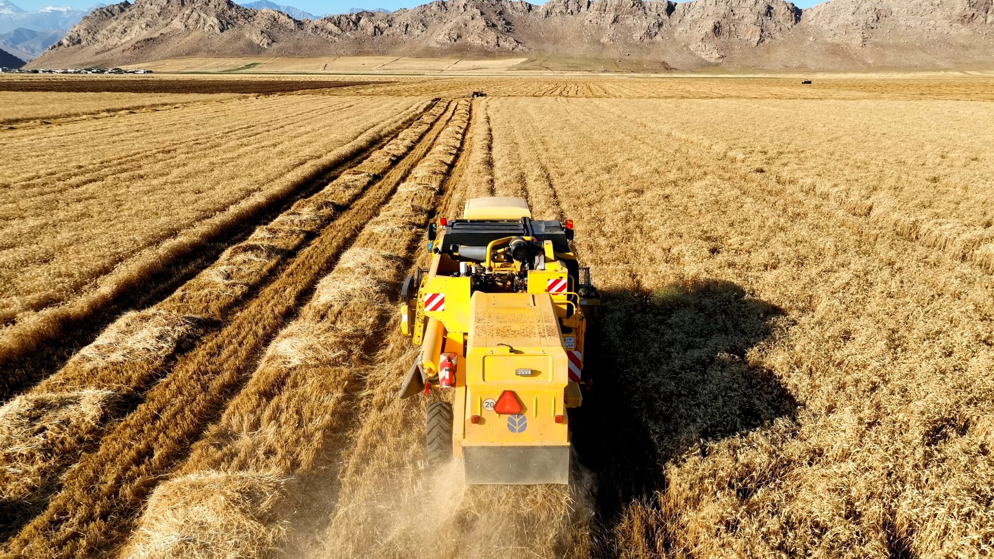 بەڕێوەبەرایەتیی كشتوكاڵ بۆ ڕێگریكردن لە سووتانی دەغڵودان چەند ڕێنماییەك بڵاو دەكاتەوە