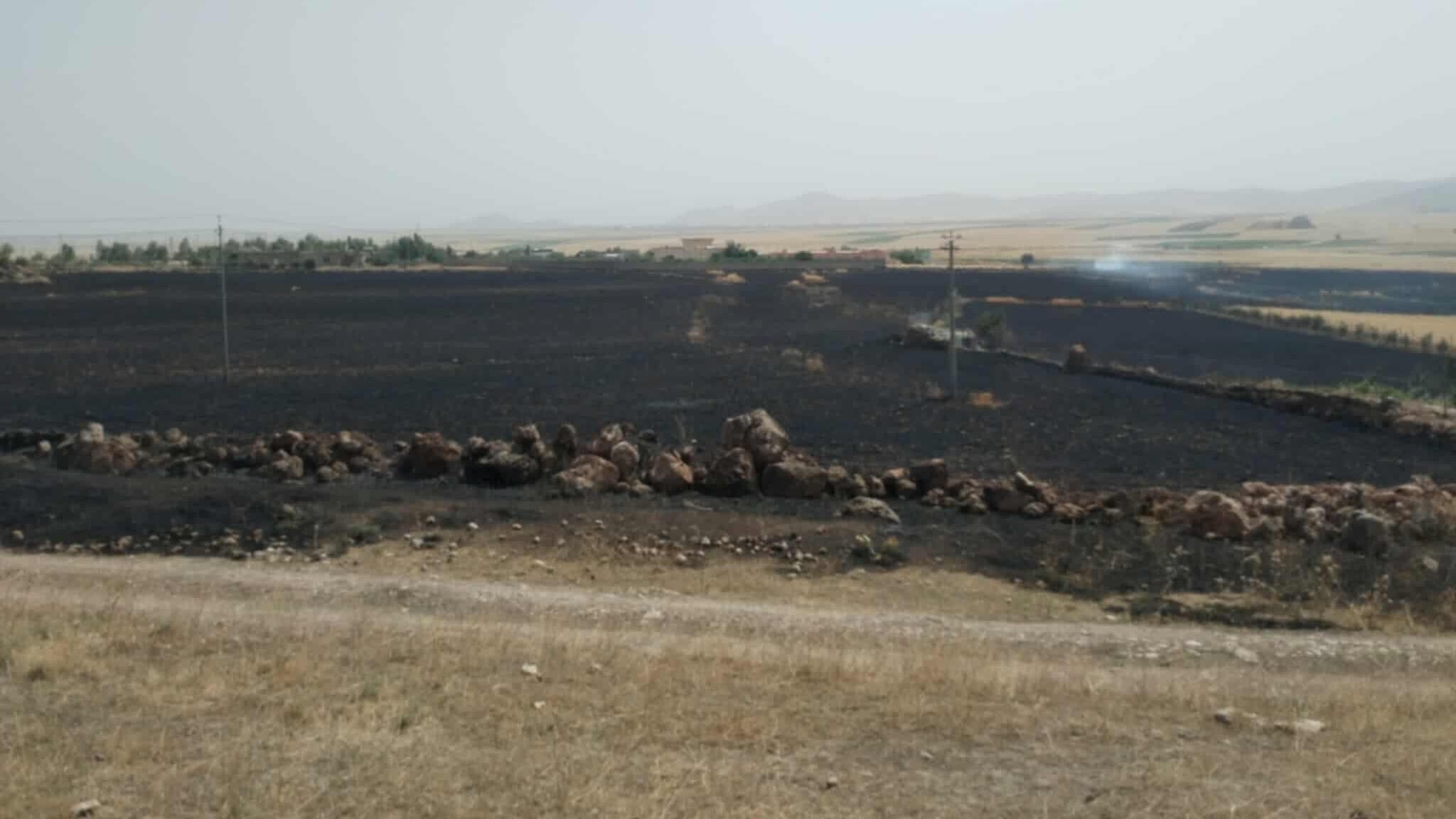 هاووڵاتییەک بەتۆمەتی ئاگرکەوتنەوەکەی سەیدسادق دەستگیر دەکرێت