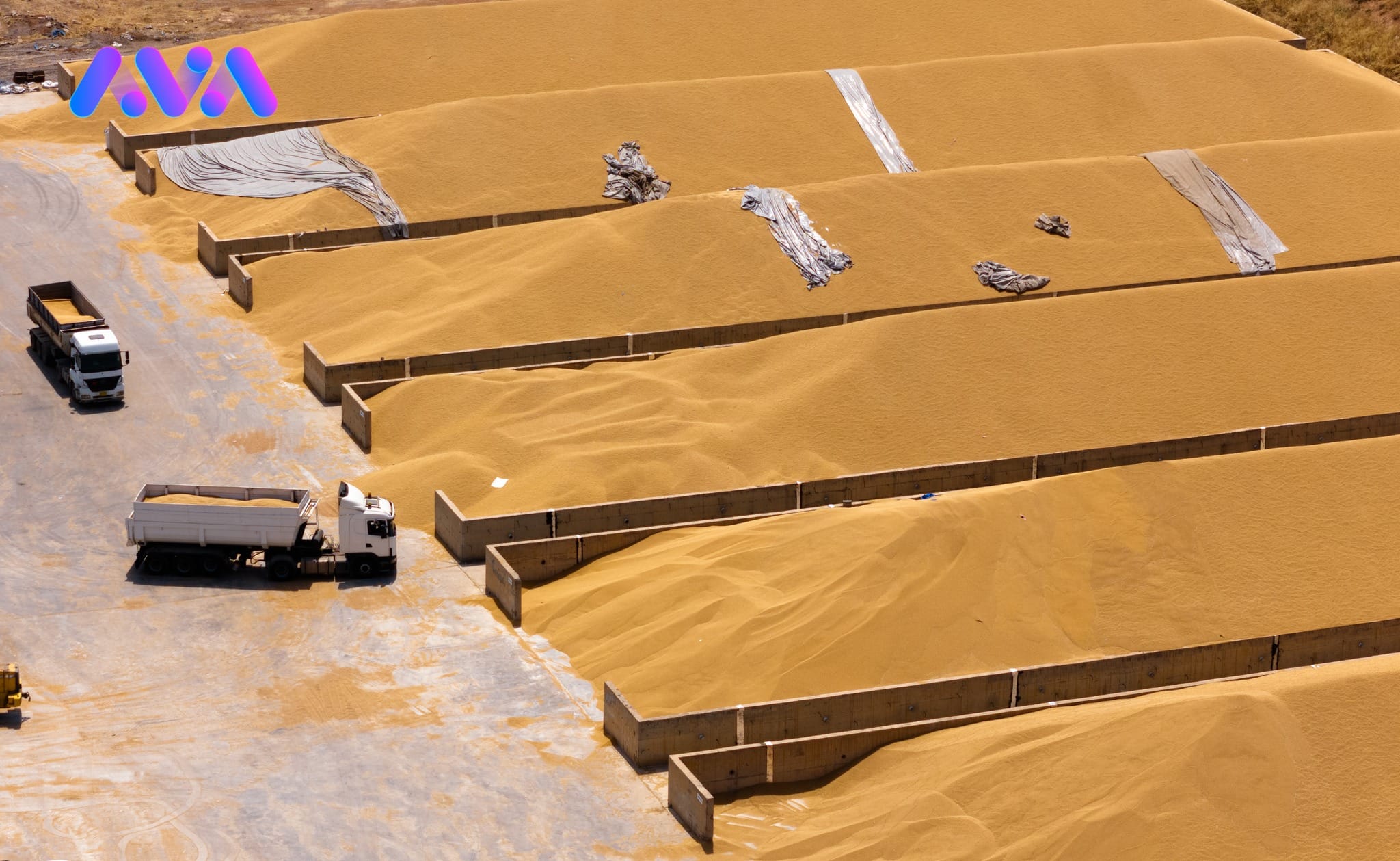 سەرەتای هەفتەی داهاتوو پڕۆسەی وەرگرتنی گەنم لە سایلۆی مەخموور دەستپێدەکات