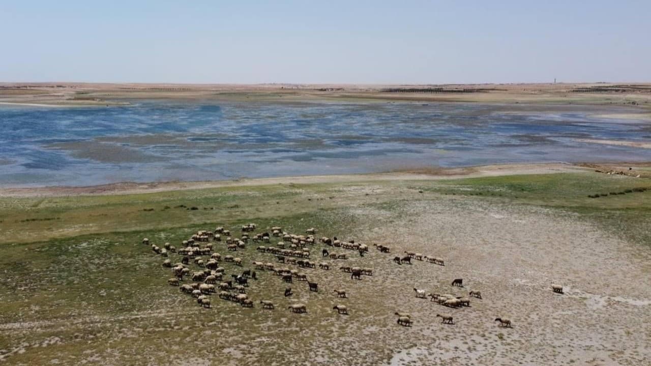 لە عێراق ئاوی کۆگاکراو بۆ نزمترین ئاست لە 80 ساڵی ڕابردوو دادەبەزێت