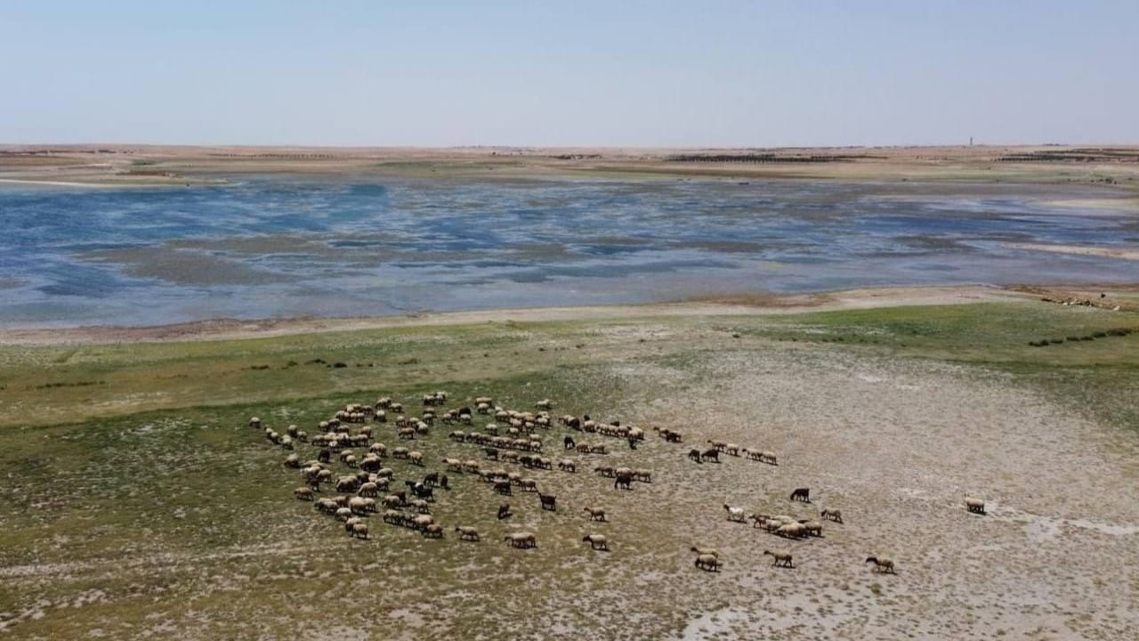 لە عێراق ئاوی کۆگاکراو بۆ نزمترین ئاست لە 80 ساڵی ڕابردوو دادەبەزێت