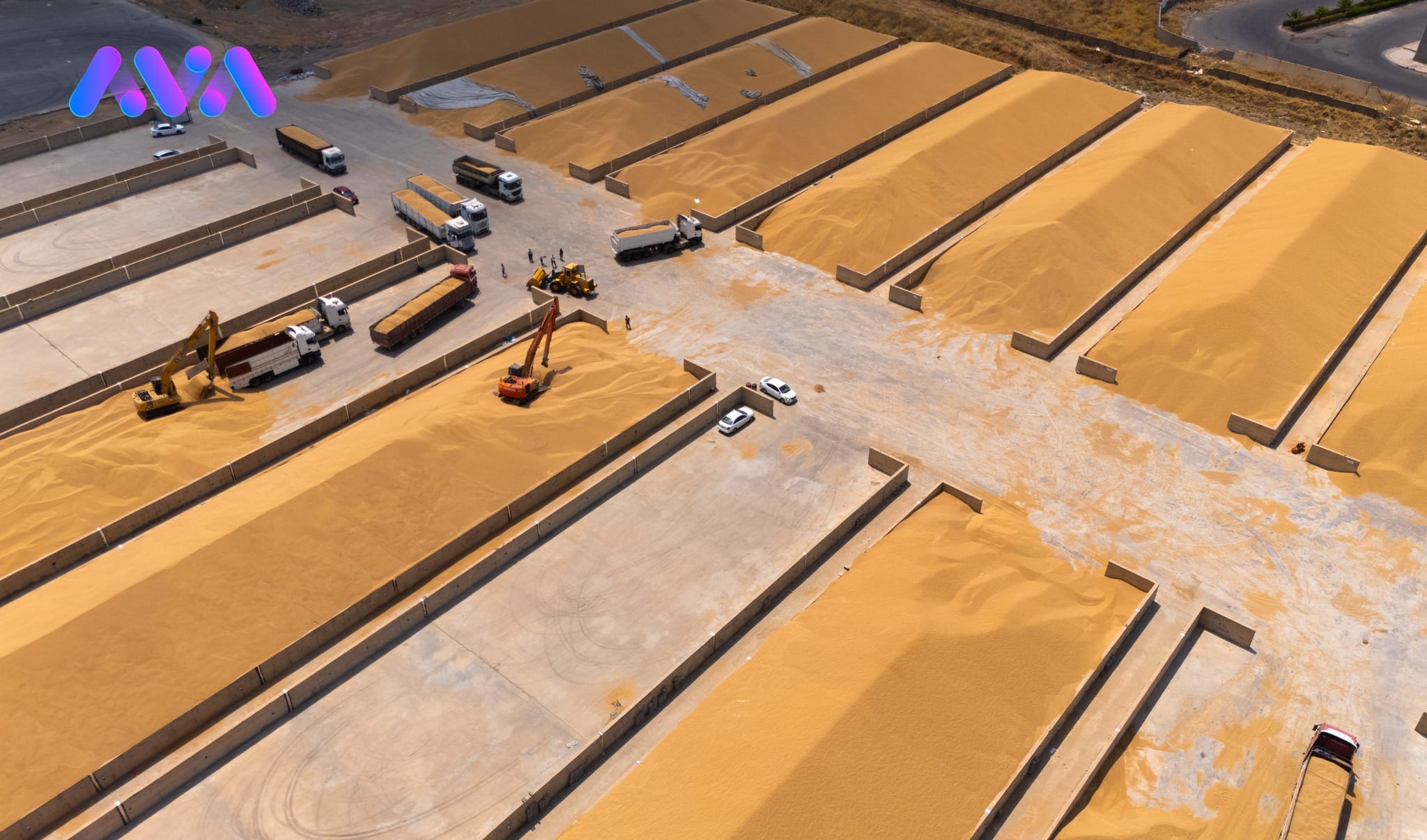 هەوڵ دەدرێت ئەمساڵ سەرجەم گەنمی جووتیارانی هەرێمی کوردستان وەربگیرێت