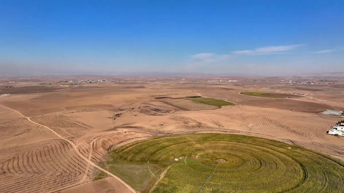 ساسان عەونی داوا لە شارەوانییەكان دەكات كارەكانی دابەشكردنی زەوی خێراتر بكەن