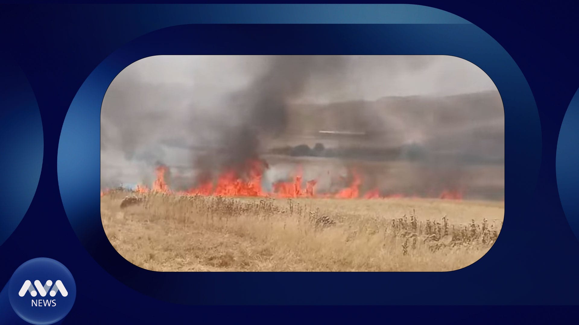 دوای بەدواداچوونی ئاڤا، کشتوکاڵی هەولێر لیژنەیەک بۆ جووتیارانی ناحیەی شەمامک پێکدەهێنێت