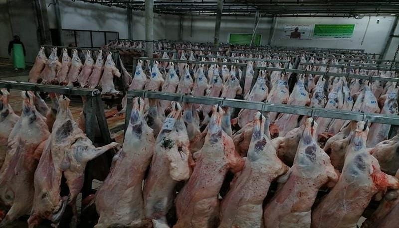 کوشتارگەی هەولێر لەبارەی قوربانیکردنەوە هاونیشتمانیان ئاگادار دەکاتەوە: وەرن ناو بنووسن