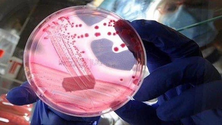 تووشبووێکی دیکە بە تای خوێنبەربوون لە زاخۆ تۆمار کرا