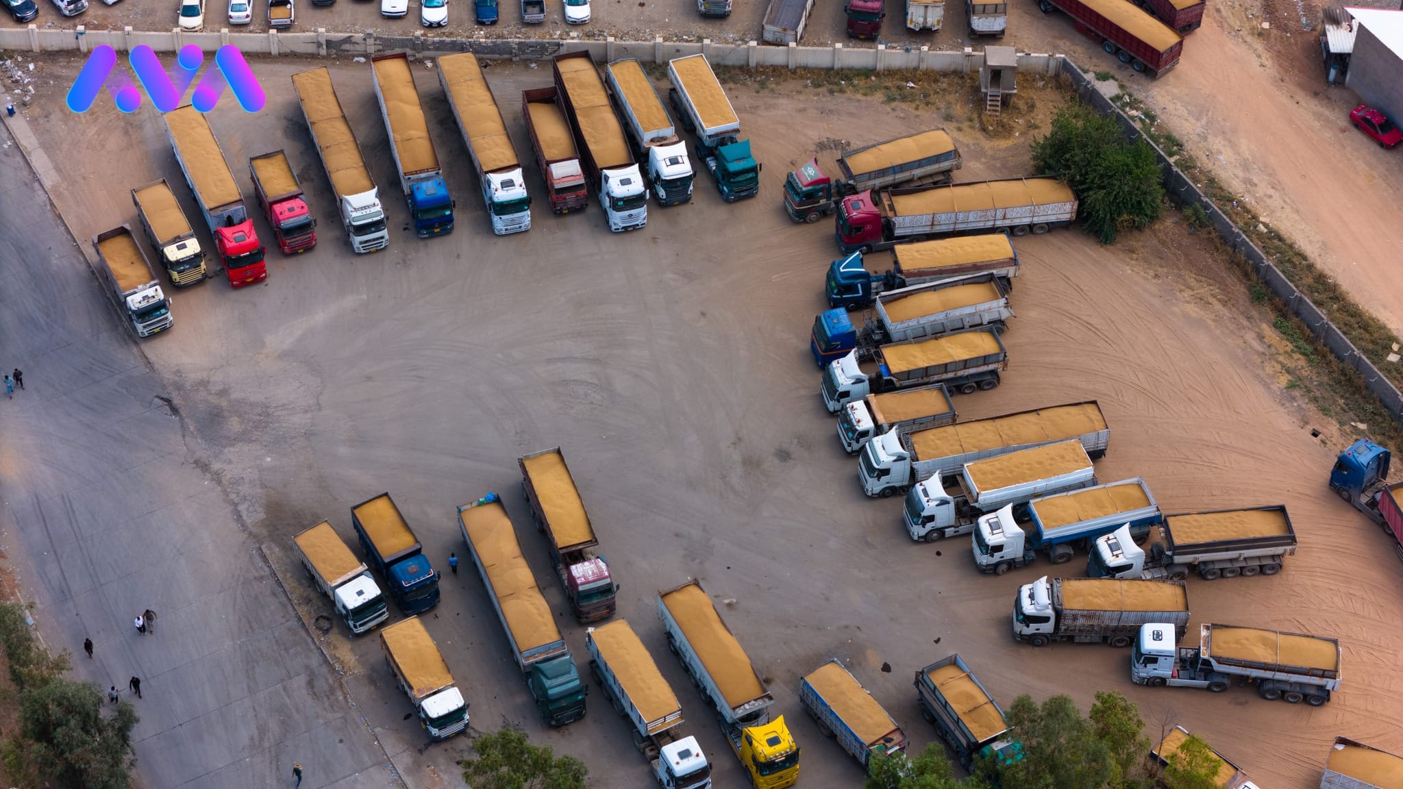 وێڕای كەمیی باران بڕی گەنمی بەرهەمهاتووی ئەمساڵی كوردستان هاوشێوەی ساڵی ڕابردووە