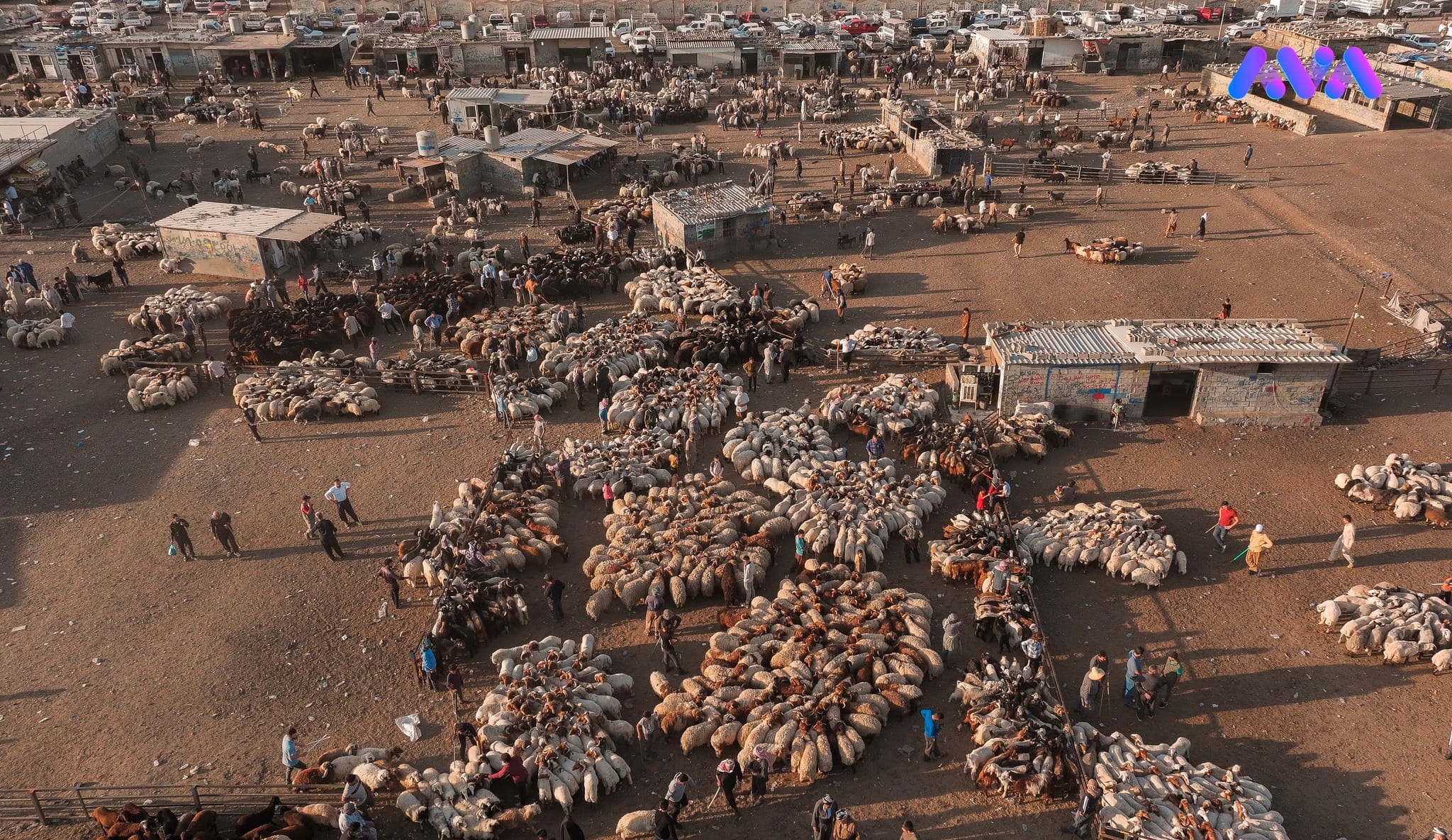 24 شوێن بۆ فرێدانی پاشماوەی قوربانی لە هەولێر دیاری دەکرێن