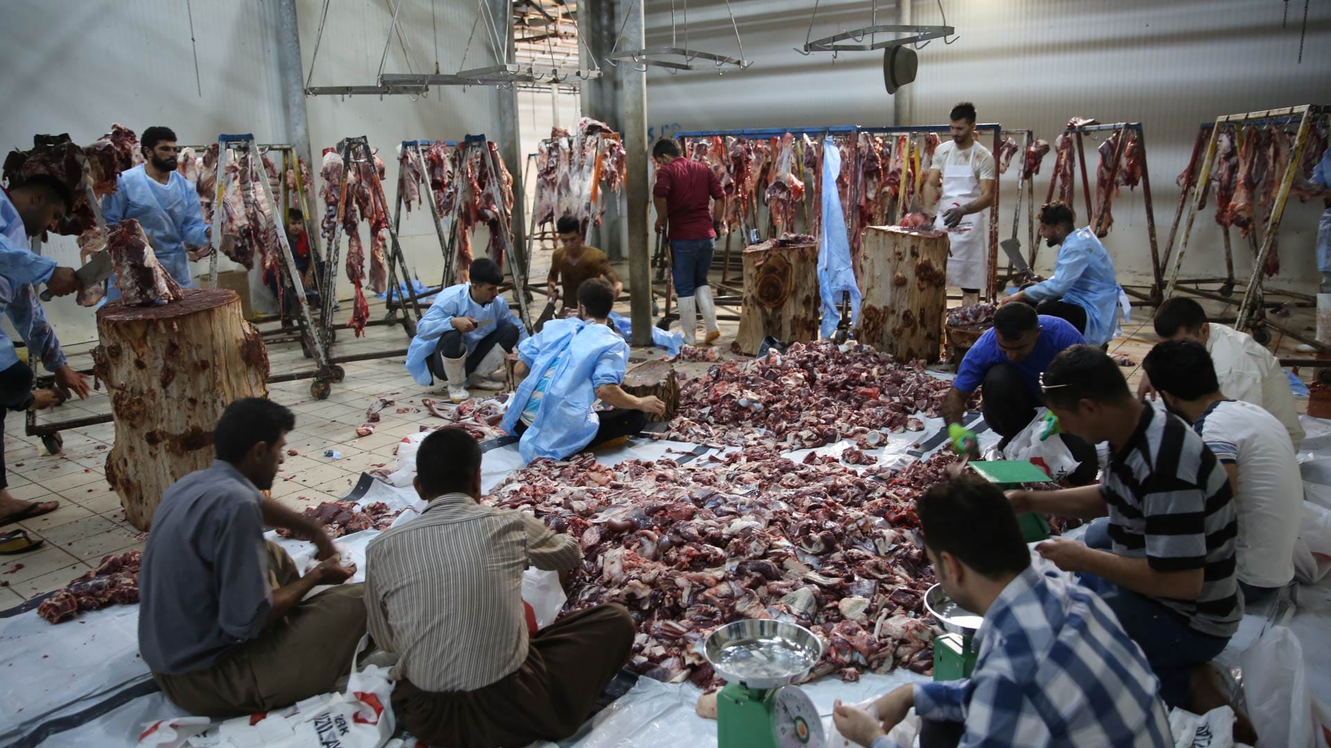 زیاتر لە یەک تۆن گۆشت بەهۆی گومانی نەخۆشی لە کوشتارگەی هەولێر ڕەت کراوەتەوە