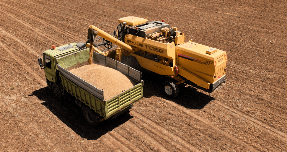 وەزارەتی بازرگانیی: عێراق بەرەو بەدەستهێنانی خۆبژێوی لە بەرهەمی گەنمدا هەنگاو دەنێت