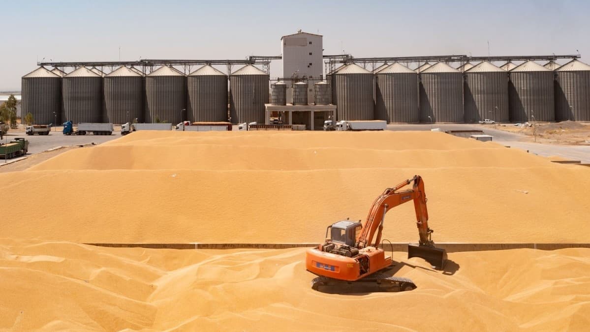 لە دهۆک پرۆسەی وەرگرتنی گەنمی جووتیاران دەستپێدەکات