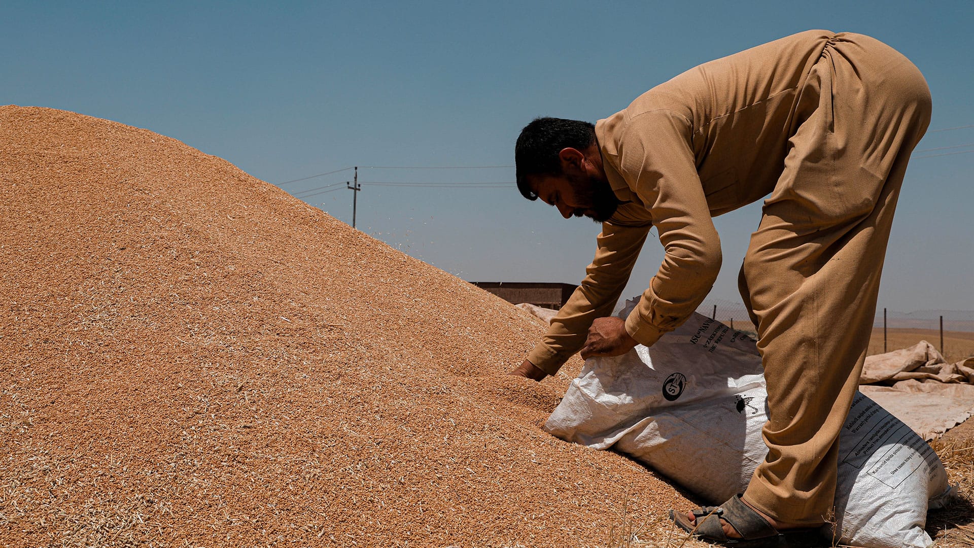سایلۆکانی دهۆک بەڕووی وەرگرتنی گەنمدا دەکرێنەوە