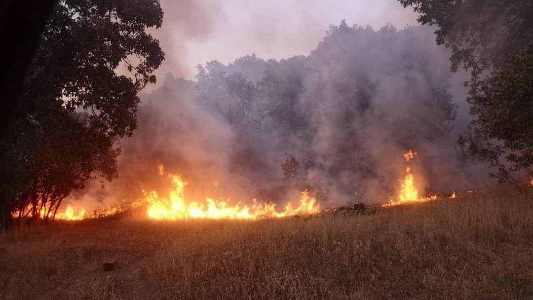 دوو کەس بەتۆمەتی سووتانی پووش و پاوان لە شارەزوور دەستگیر دەکرێن