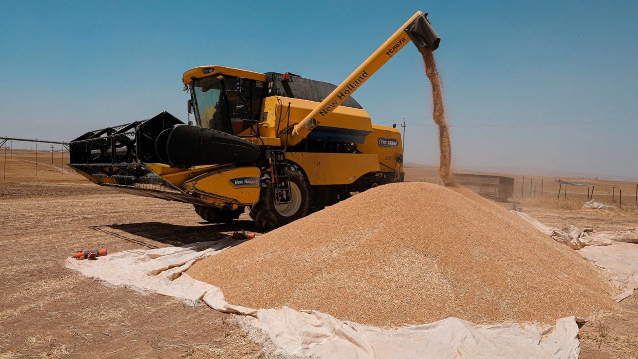 ژمارەیەک جووتیاری مەخموور لە وەرگرتنی گەنم بێبەش دەکرێن