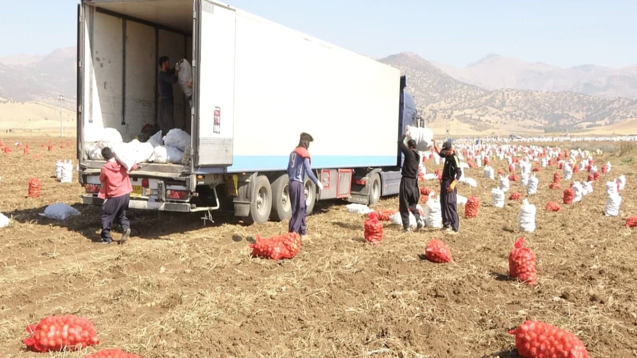 ساڵانە دهۆک بۆ بەرهەمی پەتاتە ژمارەی پێوانەیی تۆمار دەکات