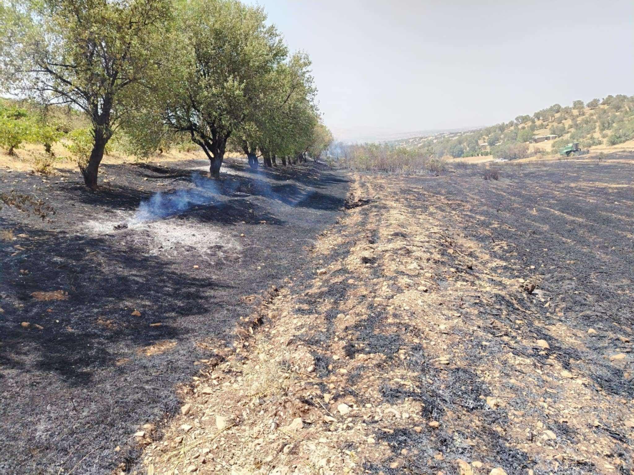 ئاگرکەوتنەوەكانی سنووری سلێمانی دەیان دۆنم پووش و پاوان و دارییان سووتاندووە
