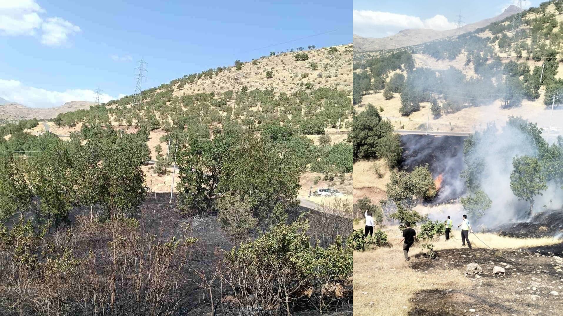 لە چۆمان 70 دار چنار و یەک دۆنم زەوی دەسووتێت