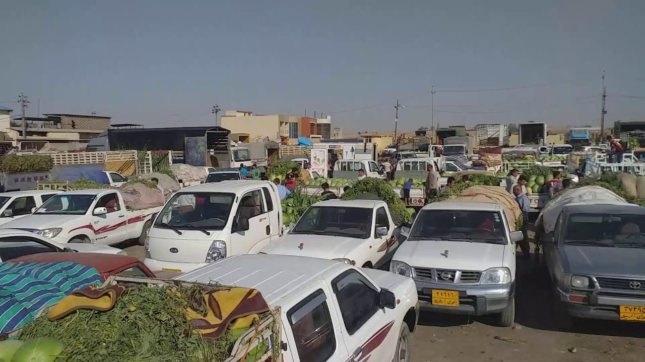 ڕۆژانە نزیکەی پێنج هەزار تۆن بەرهەمی کشتوکاڵی هەناردەی عێراق دەکرێت