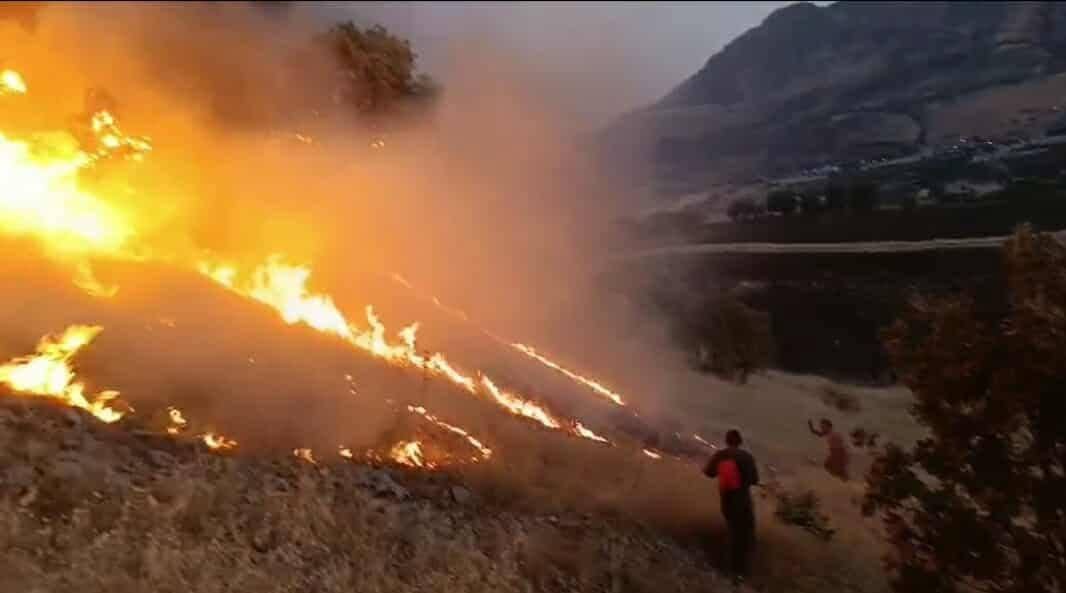 ئاگرێکی گەورە لە سنووری قەرەداغ و گاپیلۆن لە سلێمانی 600 دۆنم دارستانی سووتاندووە