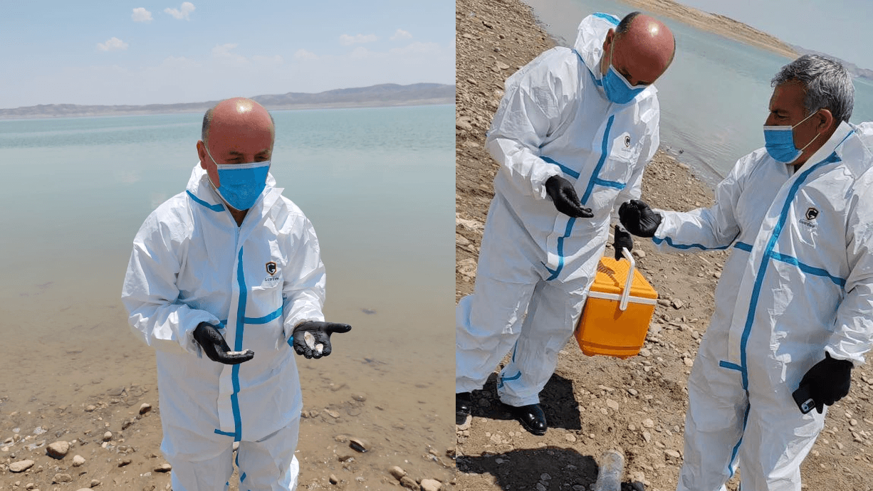 ڤێرتێرنەری دهۆك بەدواداچوون بۆ لەناوچوونی هەزاران ماسی لە ئاوی بەنداوی مووسڵ دەکات