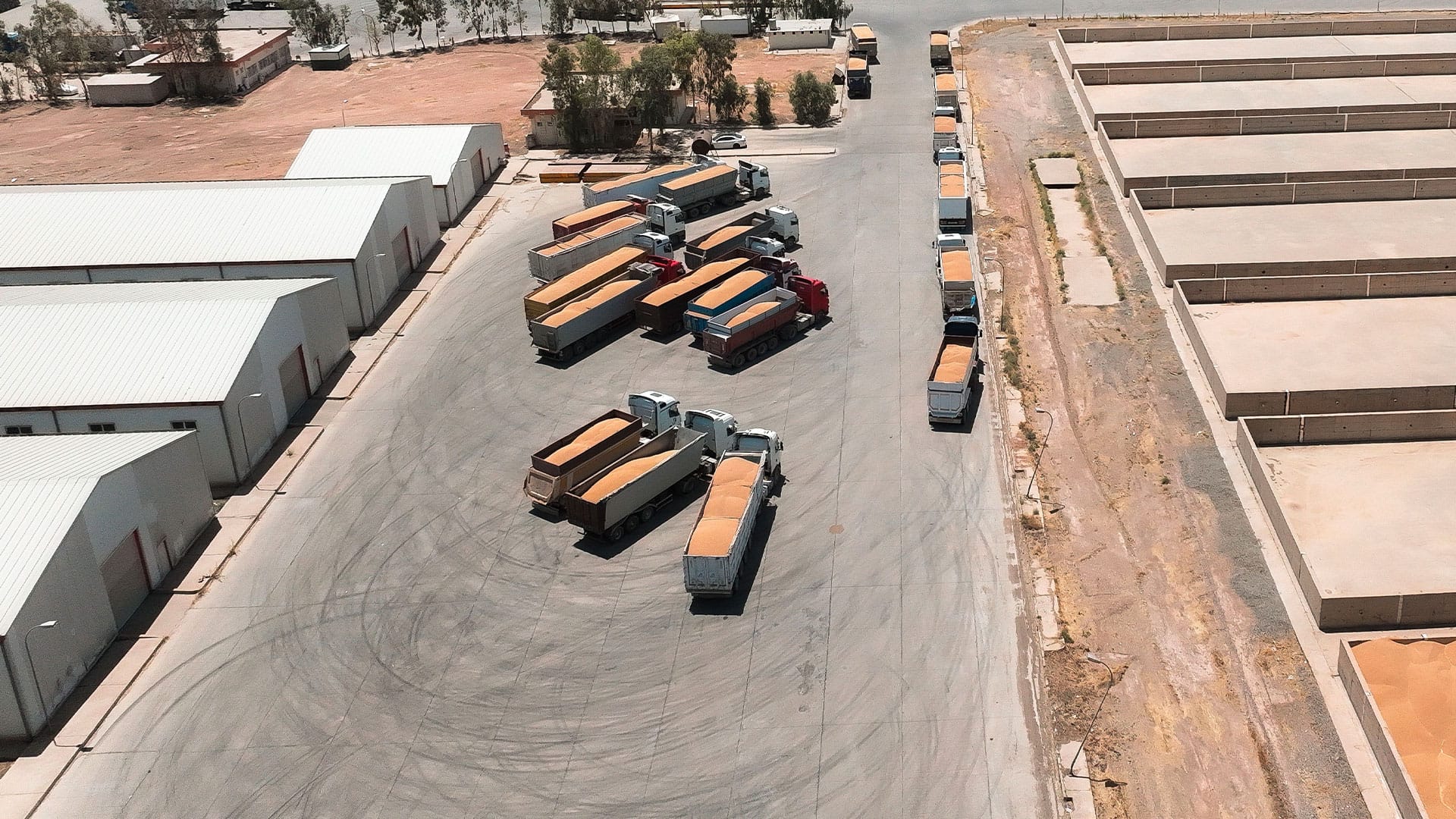 بۆ وەرگرتنی گەنمی دیبەگە و گوێڕ داوای درێژکردنەوەی پرۆسەکە دەکرێت