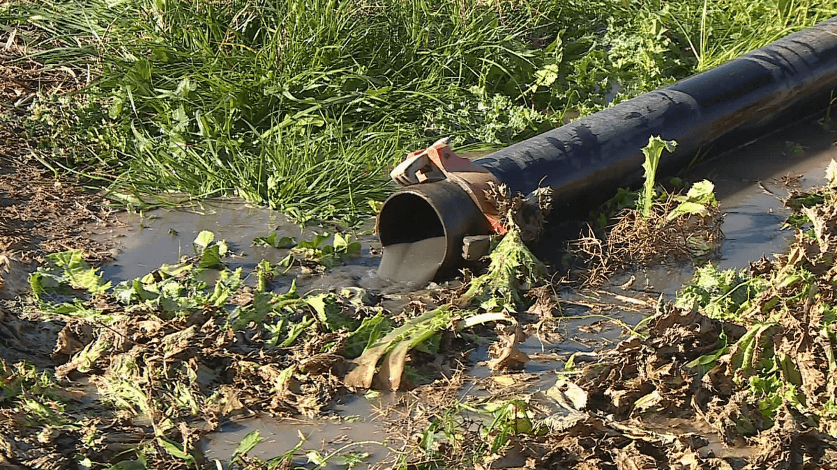 دوو پرۆژەی ڕیسایکلینی ئاوی قورس لە هەولێر جێبەجێدەکرێت