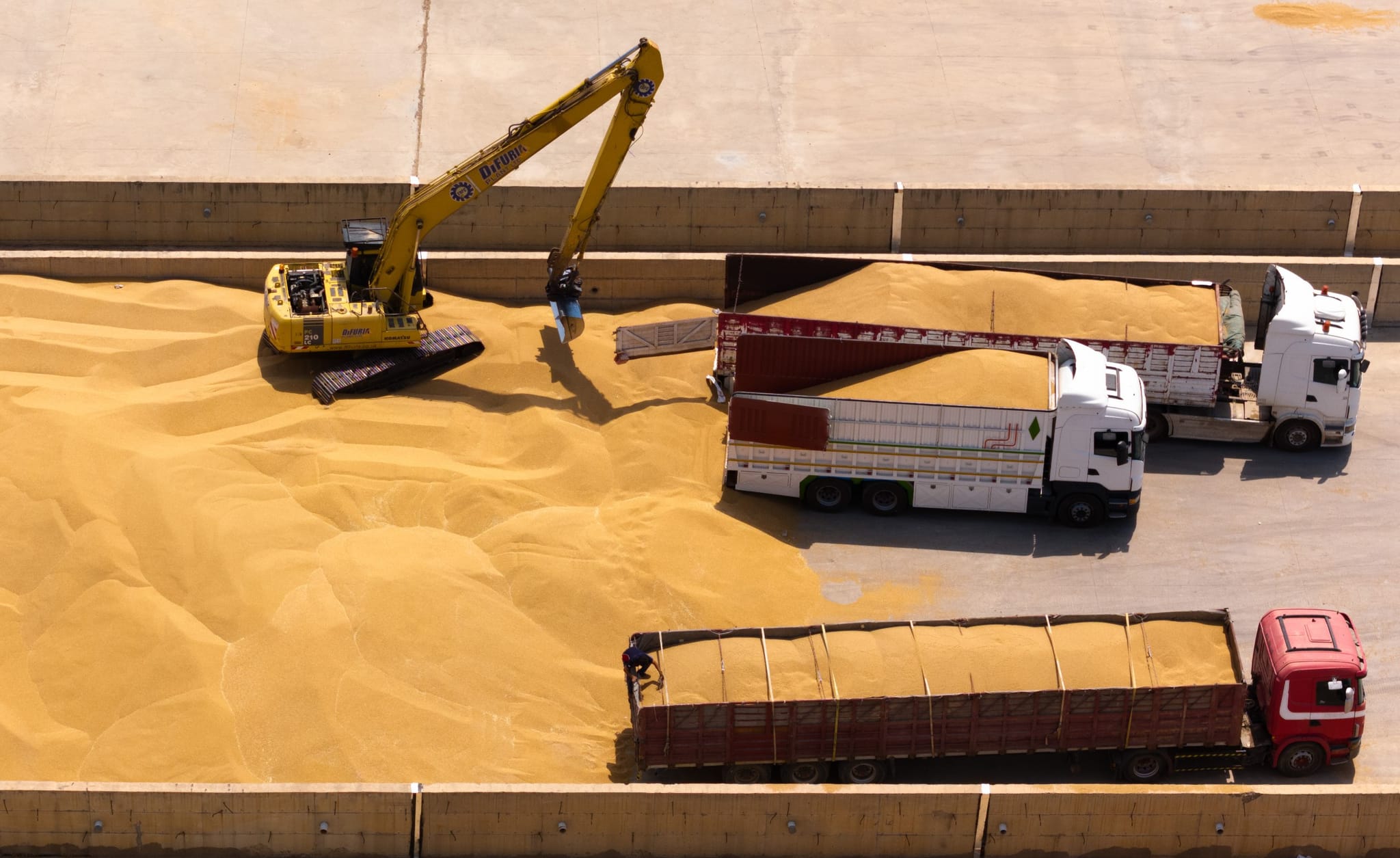 پرۆسەی وەرگرتنی گەنمی جووتیاران کۆتاییهات