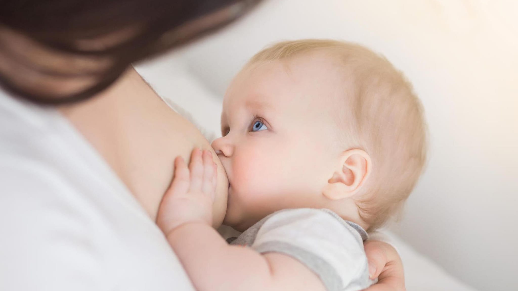 داوا دەکرێت فرۆشتنی شیری دایک رێگەی لێ بگیرێت